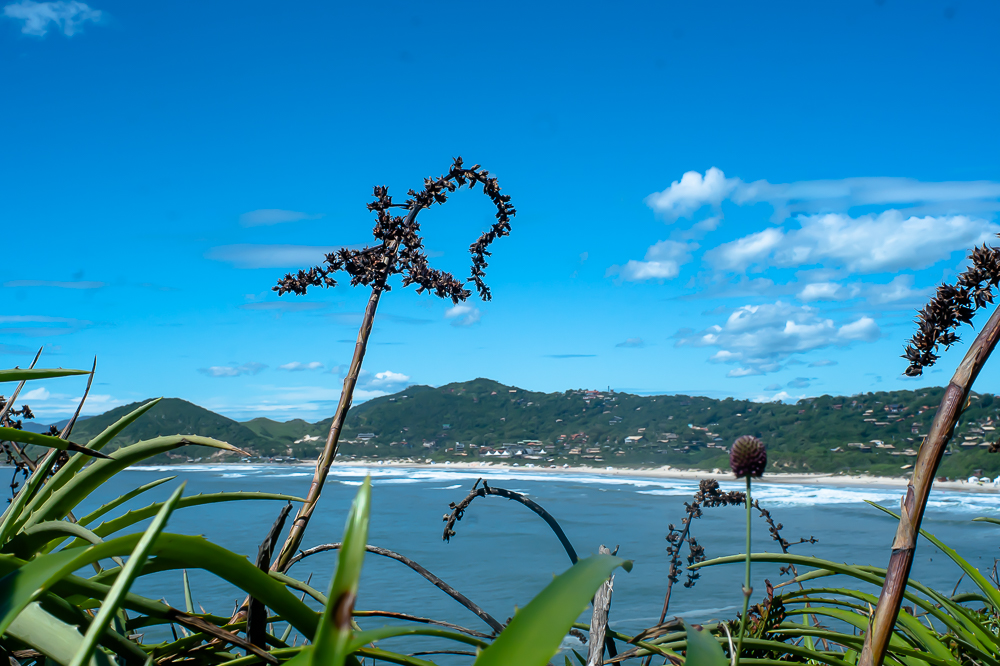 praia do rosa